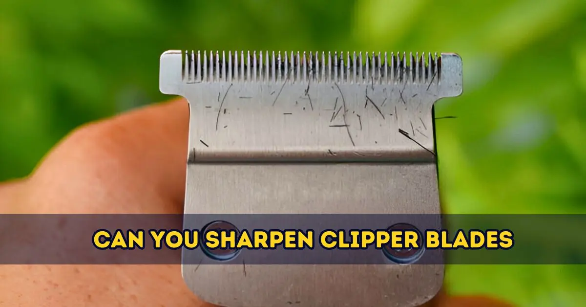 Can You Sharpen Clipper Blades