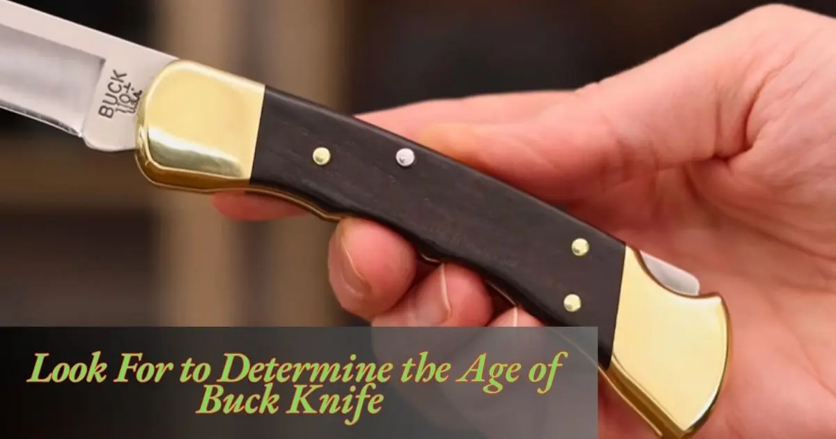 how-old-is-my-buck-knife