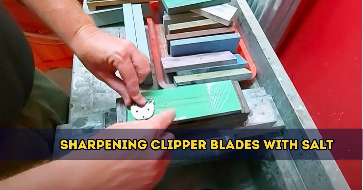 Can You Sharpen Clipper Blades