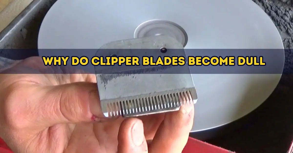 Can You Sharpen Clipper Blades